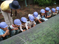 幼稚園7月-1