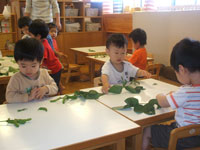 保育園8月-3